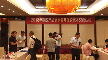 第十屆中國橡膠技術網矽橡膠行業膠友技術交流會